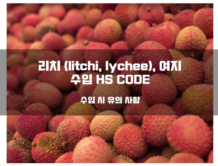 열대 과일 리치(litchi, lychee) 여지 수입 HS CODE 및 유의 사항 : 네이버 블로그