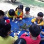 가을의 유아숲체험원의 활동
