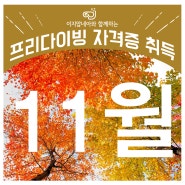 프리다이빙 강습 11월 일정! (서울 잠실 / 인천 송도 / K26)