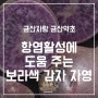 항염활성에 도움 주는 보라색 감자 자영