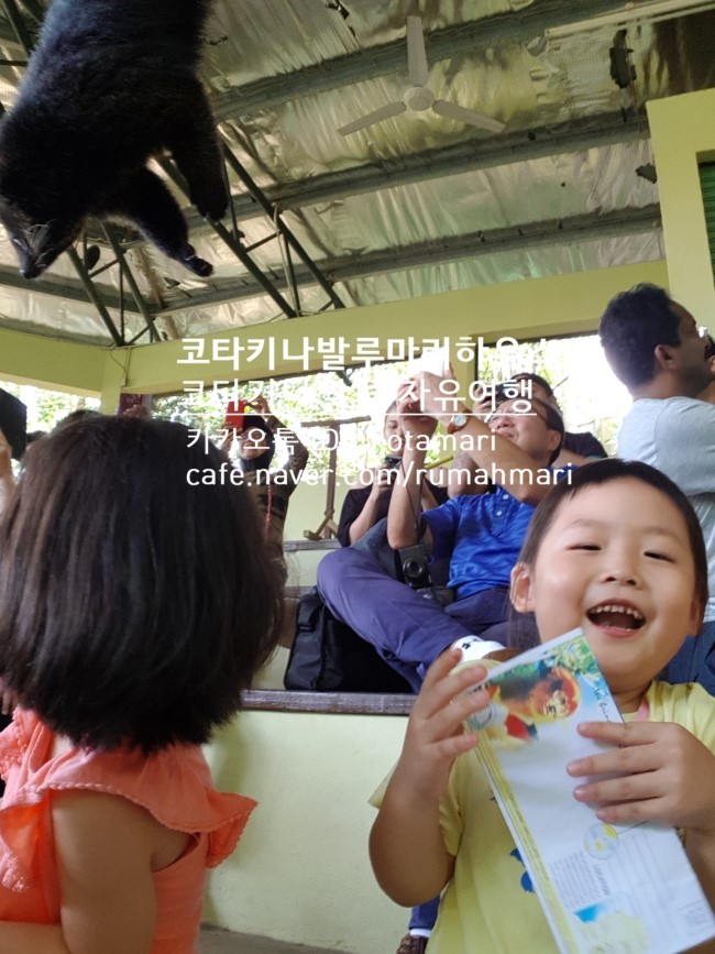 코타키나발루 동물원 록카위파크 (Lok kawi wildlife park)