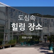 부산/부산여행/부산여행지/도심 속 힐링장소/화명수목원(2)