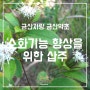 소화기능 향상을 위한 삽주