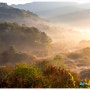 비밀의 정원~~~