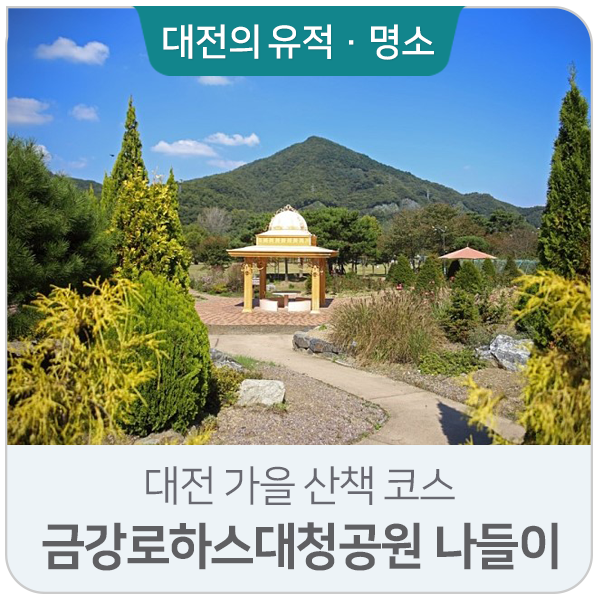 대전 가을 산책 코스│금강로하스대청공원 나들이