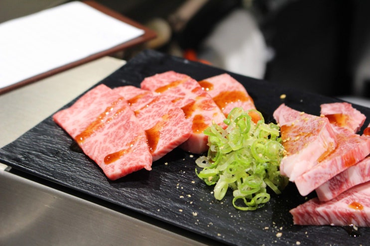 오사카 난바 맛집 내장보다 고기류가 맛있는 야키니쿠 타카라 네이버 블로그