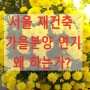 서울 재건축 가을분양 연기 왜 하는가?