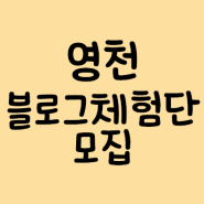 영천 블로그체험단 모집 (긴급)