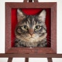 펠트지로 만든 3D 고양이 초상화 - Japanese artist Wakuneco