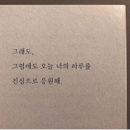 그래도, 그럼에도 오늘 너의 하루를 진심으로 응원해