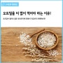[스건모의 영양정보] 오트밀이 건강에 좋은 이유!