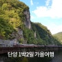 단양 버스타고 1박2일 가을여행 최종판(대명리조트/모노레일/충주호유람선/아쿠아리움/구인사/도담삼봉/구경시장/만천하스카이워크/잔도), 단양 가볼만한곳