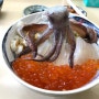 [홋카이도-하코다테 맛집] 춤추는 오징어 덮밥.... 타비지 식당(一花亭 たびじ)"