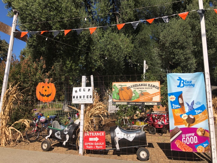 월넛크릭 Shadelands Ranch Pumpkin Patch 할로윈데이 맞이해서 펌킨패치 다녀오기 네이버 블로그