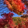 가을 단풍여행 : 곤지암 화담숲 : 경기도 광주 단풍구경