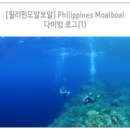 [필리핀모알보알] Philippines Moalboal- 다이빙로그(1)
