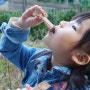 유기농 유산균은 어린이 위한 장대원네이처키즈로 챙김!