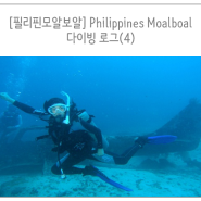 [필리핀 모알보알]Philippines Moalboal-다이빙로그(4)