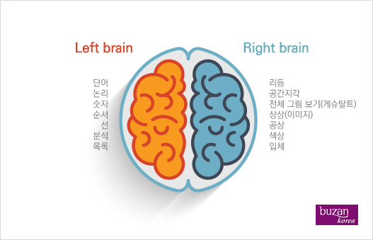 좌뇌와 우뇌(Left and Right Brain) : 네이버 블로그
