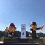 [대구 10월 축제] 낙동강세계평화문화대축전에 다녀오다!