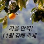 [김해11월 가을축제] :: 제 34회 김해 진영단감축제 (11/2~4)