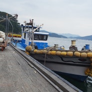 통영 해인수산은 싱싱한 굴 가리비를 취급합니다.