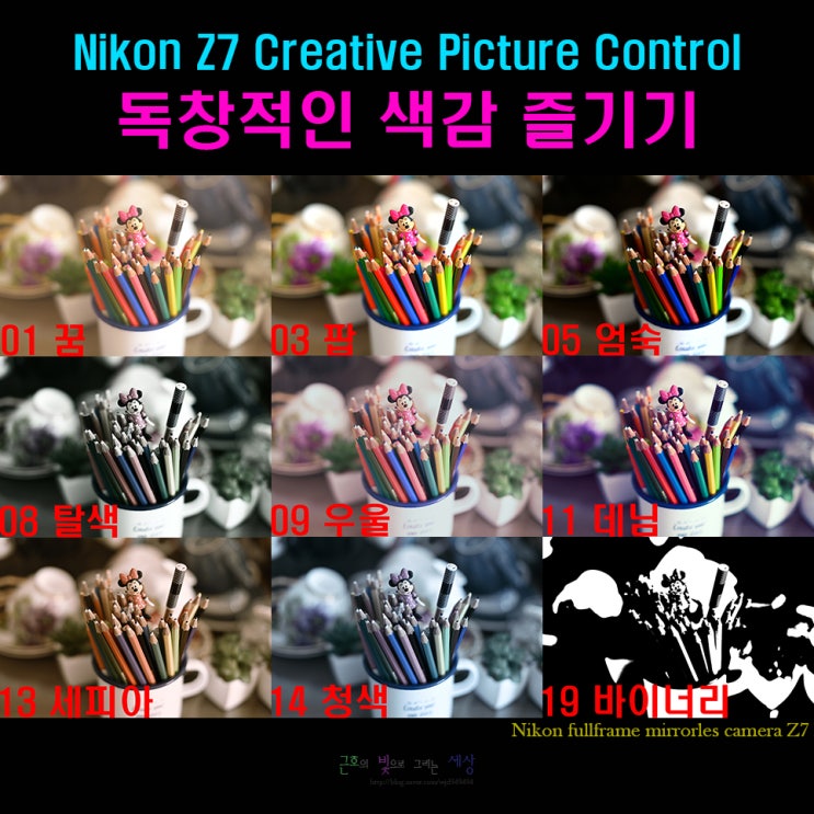 Nikon 미러리스 Z7 독창적인 색감 즐기기- Creative Picture Control : 네이버 블로그