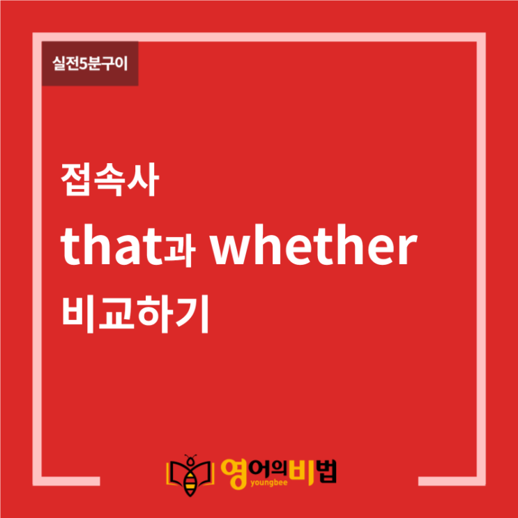 접속사 that whether 비교 (명사절). : 네이버 블로그