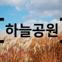 [서울 근교 가을여행지] 서울 상암 하늘공원 억새축제/ 핑크뮬리