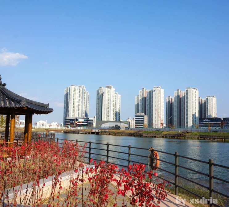 경산가볼만한곳 중산호수공원 너무 좋아요 : 네이버 블로그