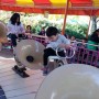 서울랜드 유아들이 탈수 있는 놀이기구만 쏙쏙 골라 타기!!
