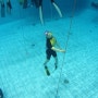 블루오션 - 올림픽파크 프리다이빙