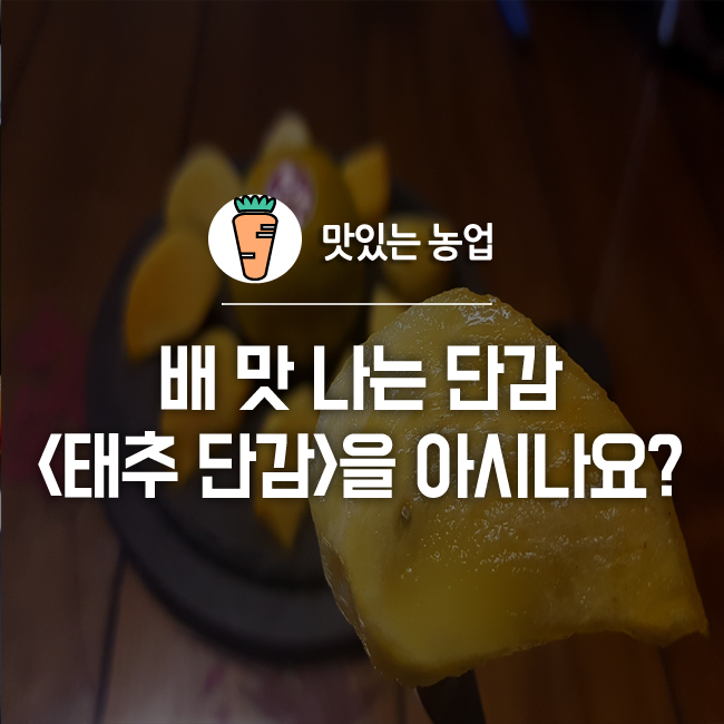 배 맛 나는 을 아시나요? : 네이버 블로그