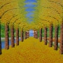 [갤러리] 괴산 문광저수지 은행나무 가로수 길 유화 그림
