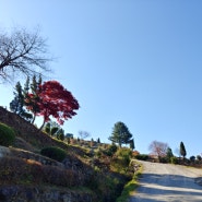 자하연 팔당공원묘원의 가을