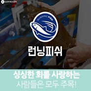 신신한 회를 사랑하는, 사람들은 모두 주목!