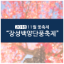 11월꽃축제 소개 - 제22회 장성백양단풍축제