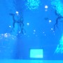 가평 K-26 실전 잠수풀은 아시아 최고 깊이, 프리다이빙 교육