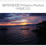 [필리핀모알보알]Philippines Moalboal-다이빙로그(5)