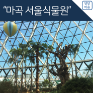 마곡 서울식물원 마곡 가볼만한 곳 서울식물원 입장료