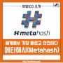 메타해시, Metahash ICO / 세계에서 가장 빠르고 안전하다.