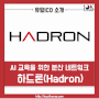 하드론, Hadron ICO 분석 / 대용량 인공지능 교육을 위한 분산 컴퓨팅 네트워크