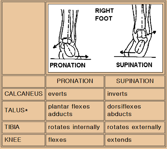 Injury Prevention Kinetic Chain Bilateral Foot Pronation Brace