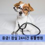 [24시간 동물병원]잠실24시동물병원/응급상황대비_미리미리 알아두세요:)