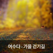 [여수다] 올해 마지막 가을 풍경 즐길 수 있는 '걷기길 6곳'