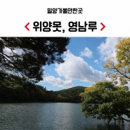 밀양 가볼만한곳, 위양못, 영남루 산책 좋아요.