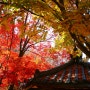 가을, 색