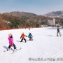 휘닉스파크 어린이 전문 스키강습팀 조이몬스터