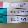 임신 초기 증상 8주 계류유산증상