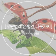[안산미술학원] 무당벌레+나뭇가지+은행잎 기초디자인 개체묘사 !!